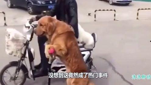 番号在线视频,热门在线影视作品深度解析